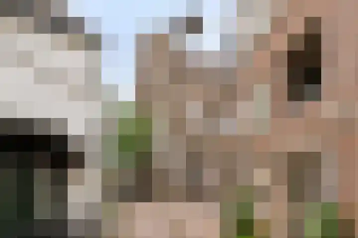 Monsterstraat 4 A Oss thumbnail 5