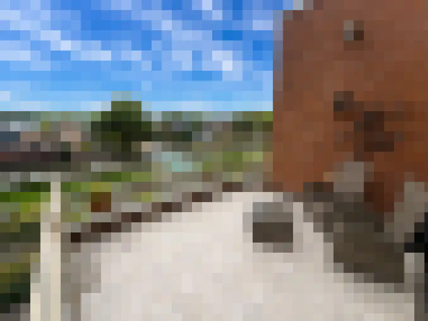 Monta Rosa 28 Montfoort thumbnail 12