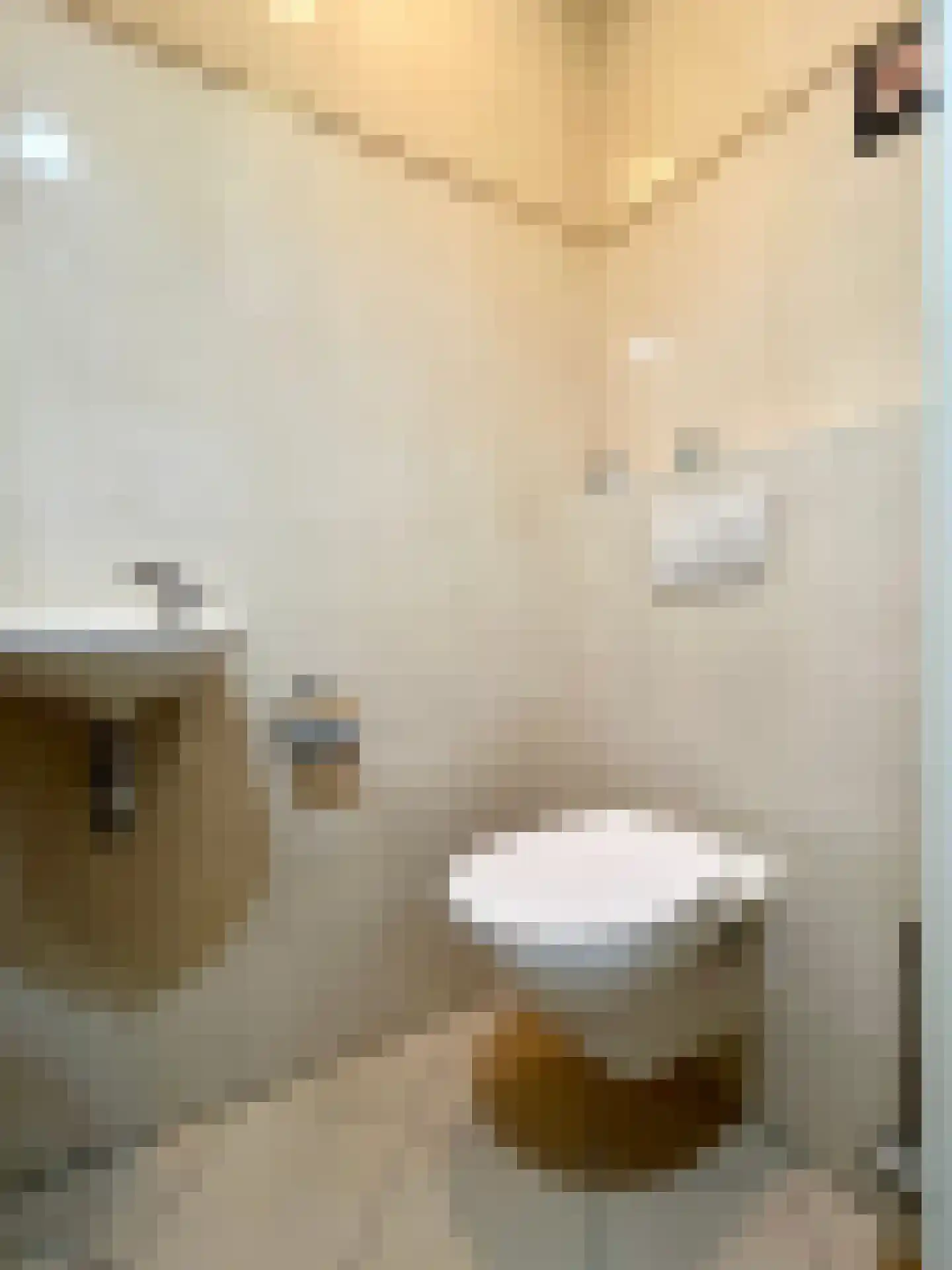 Monta Rosa 28 Montfoort thumbnail 31