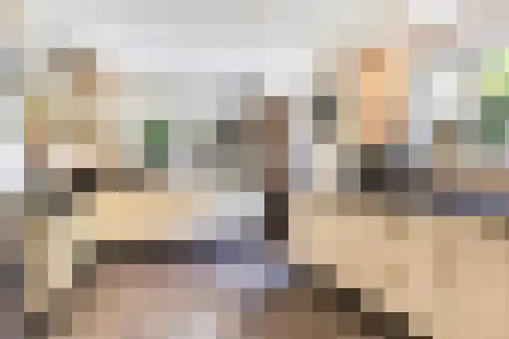Montanalaan 5 Apeldoorn thumbnail 10
