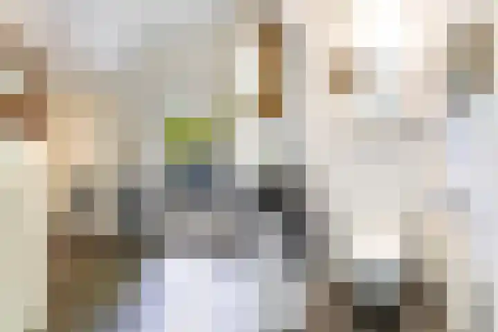 Montanalaan 5 Apeldoorn thumbnail 13