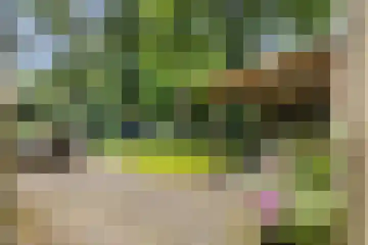 Montanalaan 5 Apeldoorn thumbnail 27