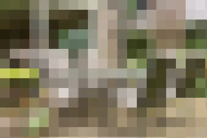 Montanalaan 5 Apeldoorn thumbnail 28