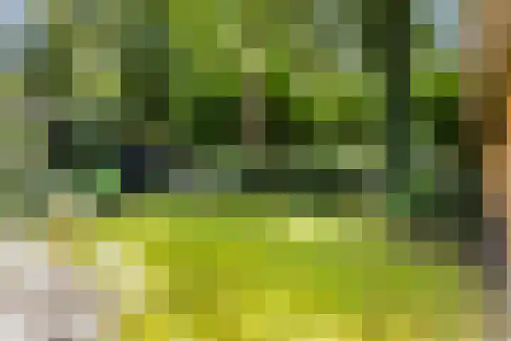 Montanalaan 5 Apeldoorn thumbnail 30