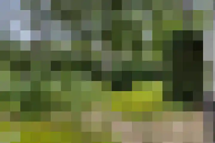 Montanalaan 5 Apeldoorn thumbnail 31