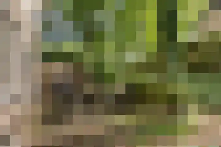 Montanalaan 5 Apeldoorn thumbnail 32