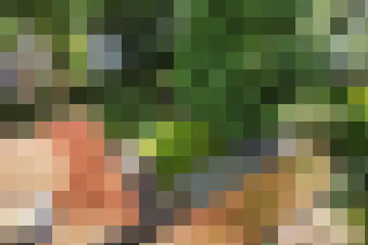 Montanalaan 5 Apeldoorn thumbnail 34