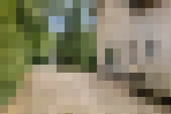 Montanalaan 5 Apeldoorn thumbnail 35