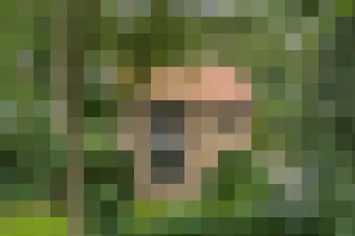 Montanalaan 5 Apeldoorn thumbnail 36