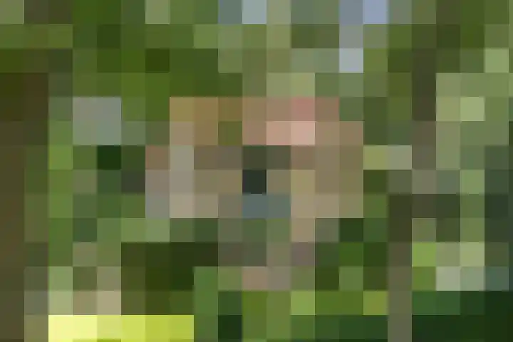 Montanalaan 5 Apeldoorn thumbnail 37