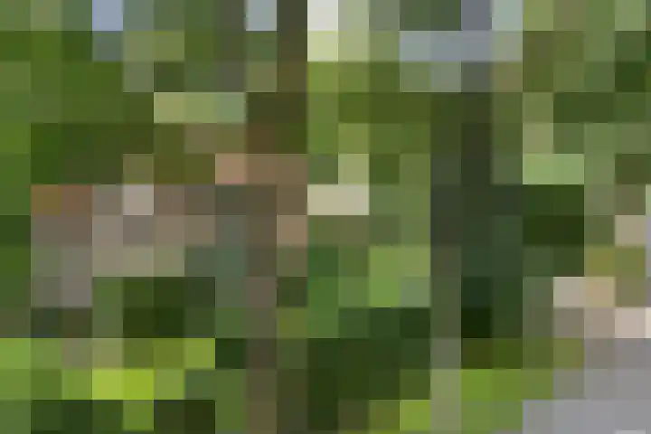 Montanalaan 5 Apeldoorn thumbnail 38