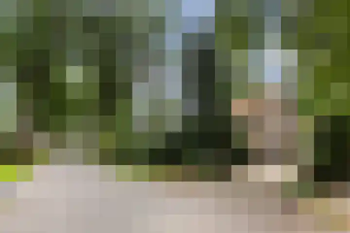 Montanalaan 5 Apeldoorn thumbnail 39