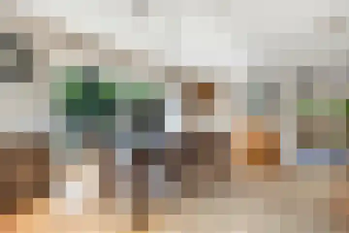 Montanalaan 5 Apeldoorn thumbnail 9
