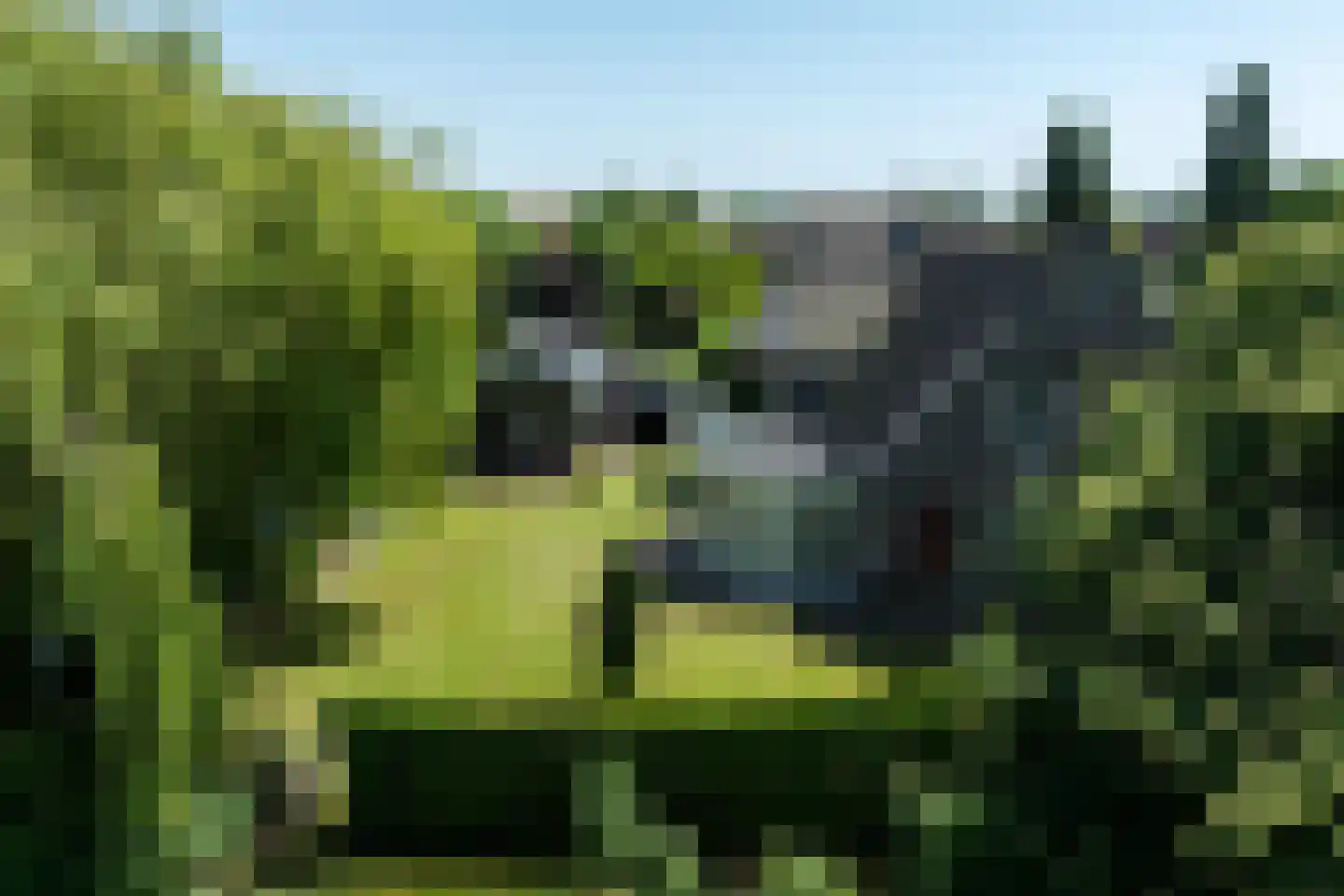 Montanusstraat 8 Hellevoetsluis thumbnail 4