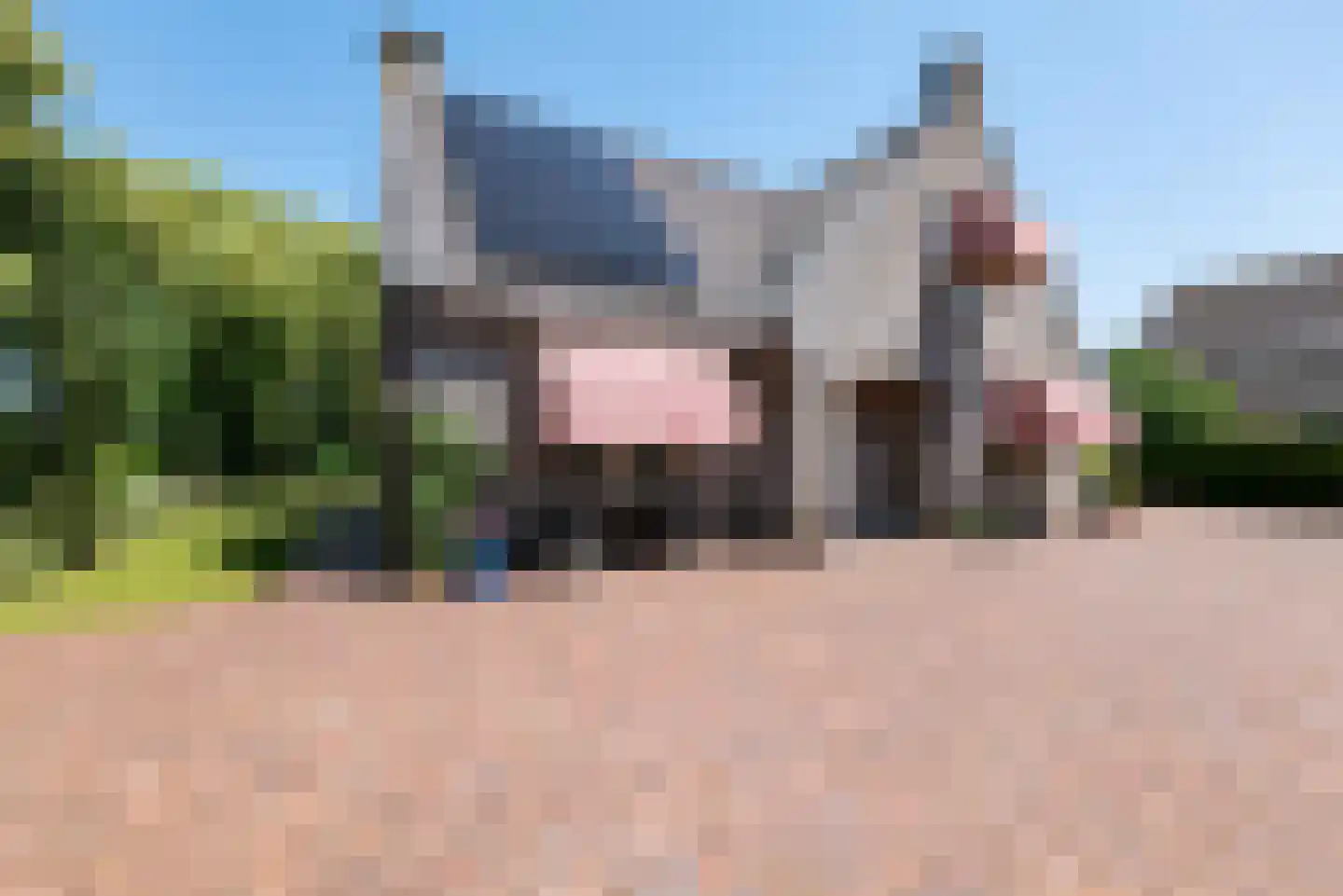 Montanusstraat 8 Hellevoetsluis thumbnail 58