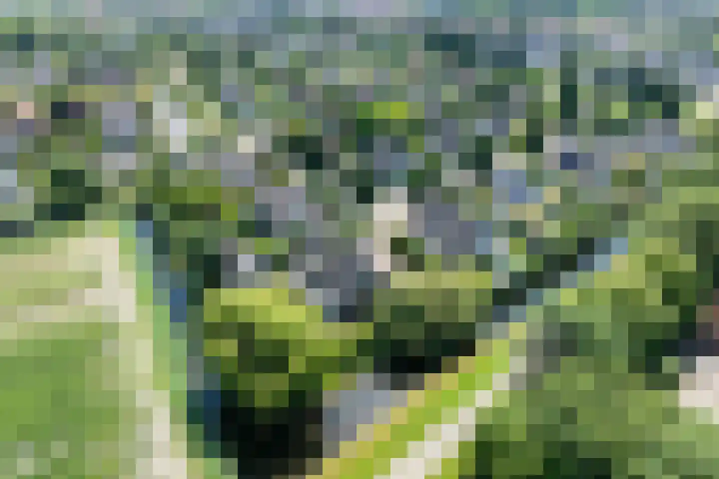Montanusstraat 8 Hellevoetsluis thumbnail 6