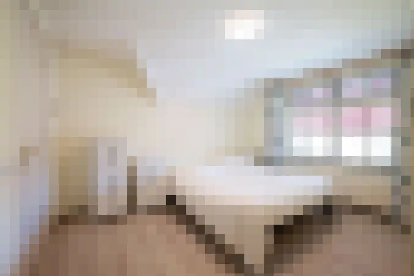 Montanusstraat 8 Hellevoetsluis thumbnail 69