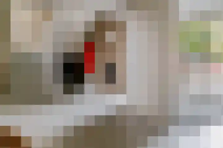 Montaubanstraat 123 Zeist thumbnail 21