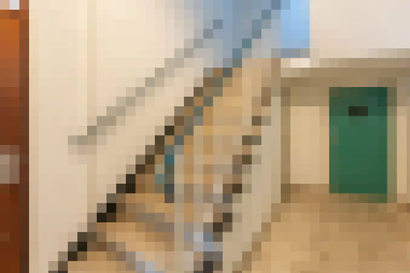 Montaubanstraat 128 Zeist thumbnail 6