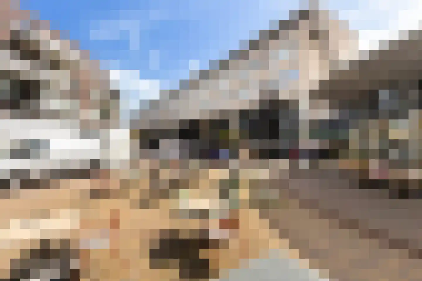 Montaubanstraat 19 Zeist thumbnail 39