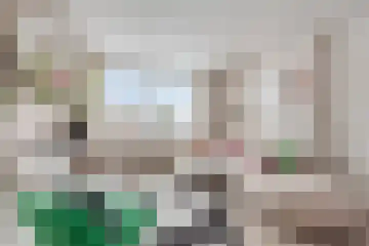 Montaubanstraat 89 Zeist thumbnail 4