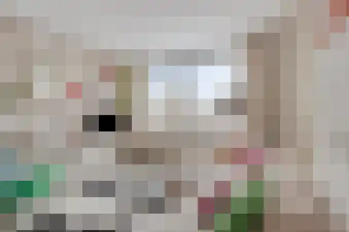 Montaubanstraat 89 Zeist thumbnail 6