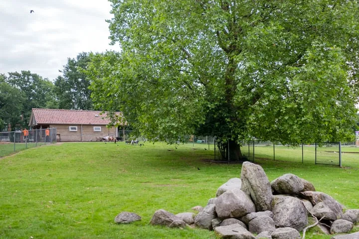 Montbretiastraat 2 Hoogeveen thumbnail 51