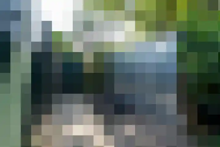 Montbretiastraat 53 Enschede thumbnail 35