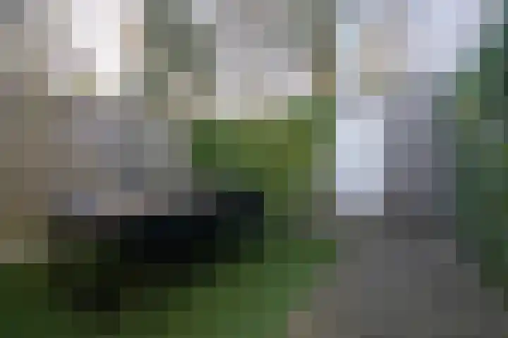 Montbretiastraat 79 Enschede thumbnail 28