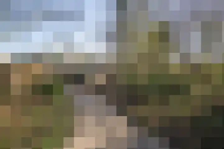 Montbretiastraat 79 Enschede thumbnail 32