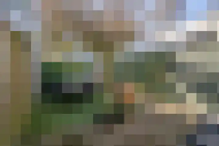 Montbretiastraat 79 Enschede thumbnail 4