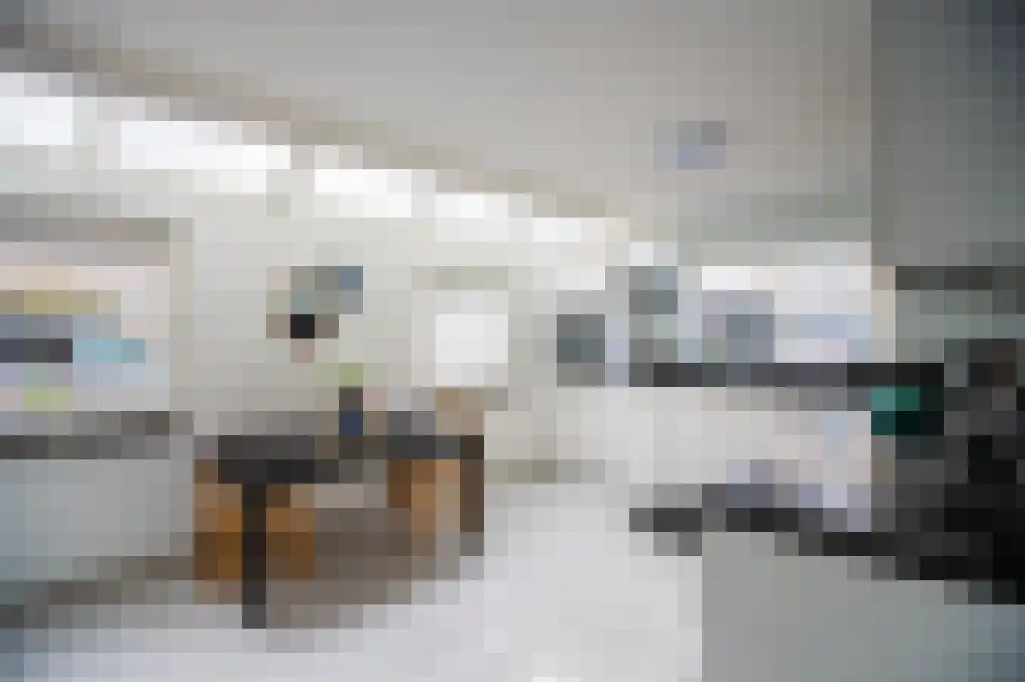 Monte Adi 18 Amsterdam thumbnail 10