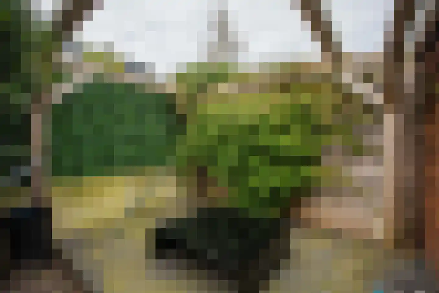 Monte Adi 18 Amsterdam thumbnail 19
