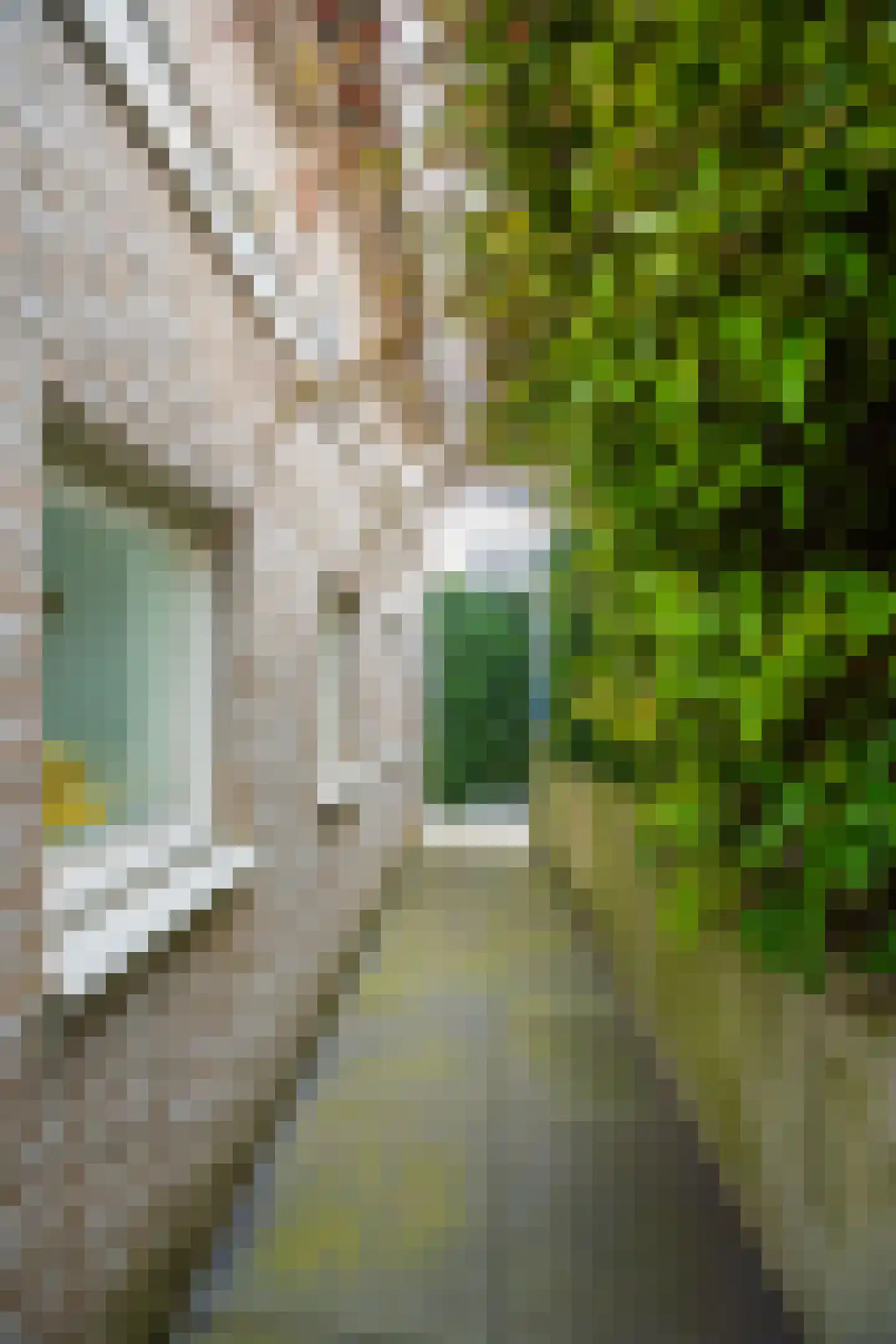 Monte Adi 18 Amsterdam thumbnail 20