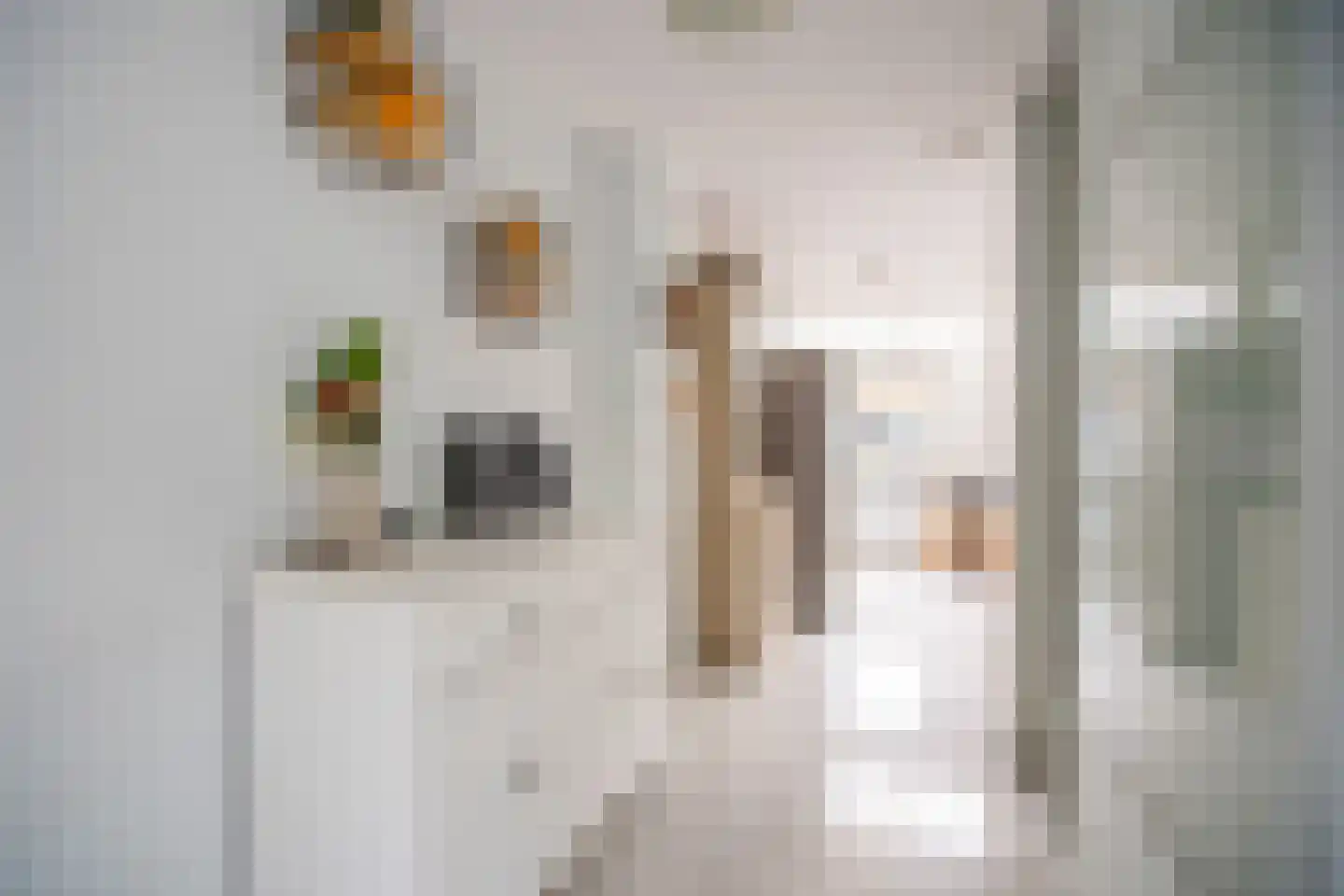 Monte Adi 18 Amsterdam thumbnail 8