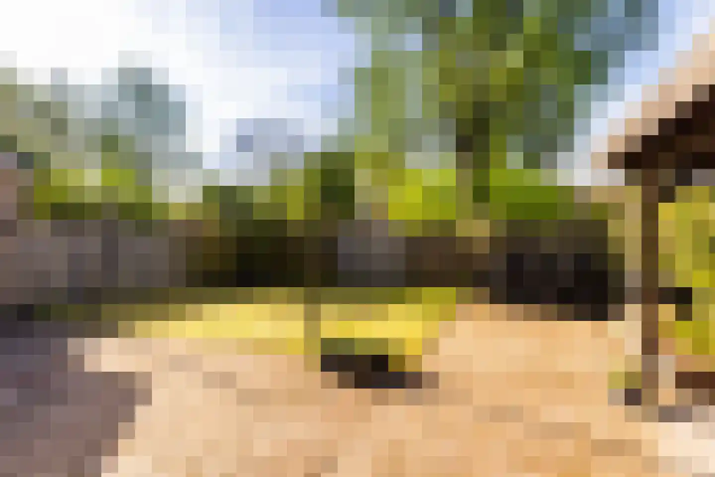 Monte Cassinostraat 2 Doetinchem thumbnail 15