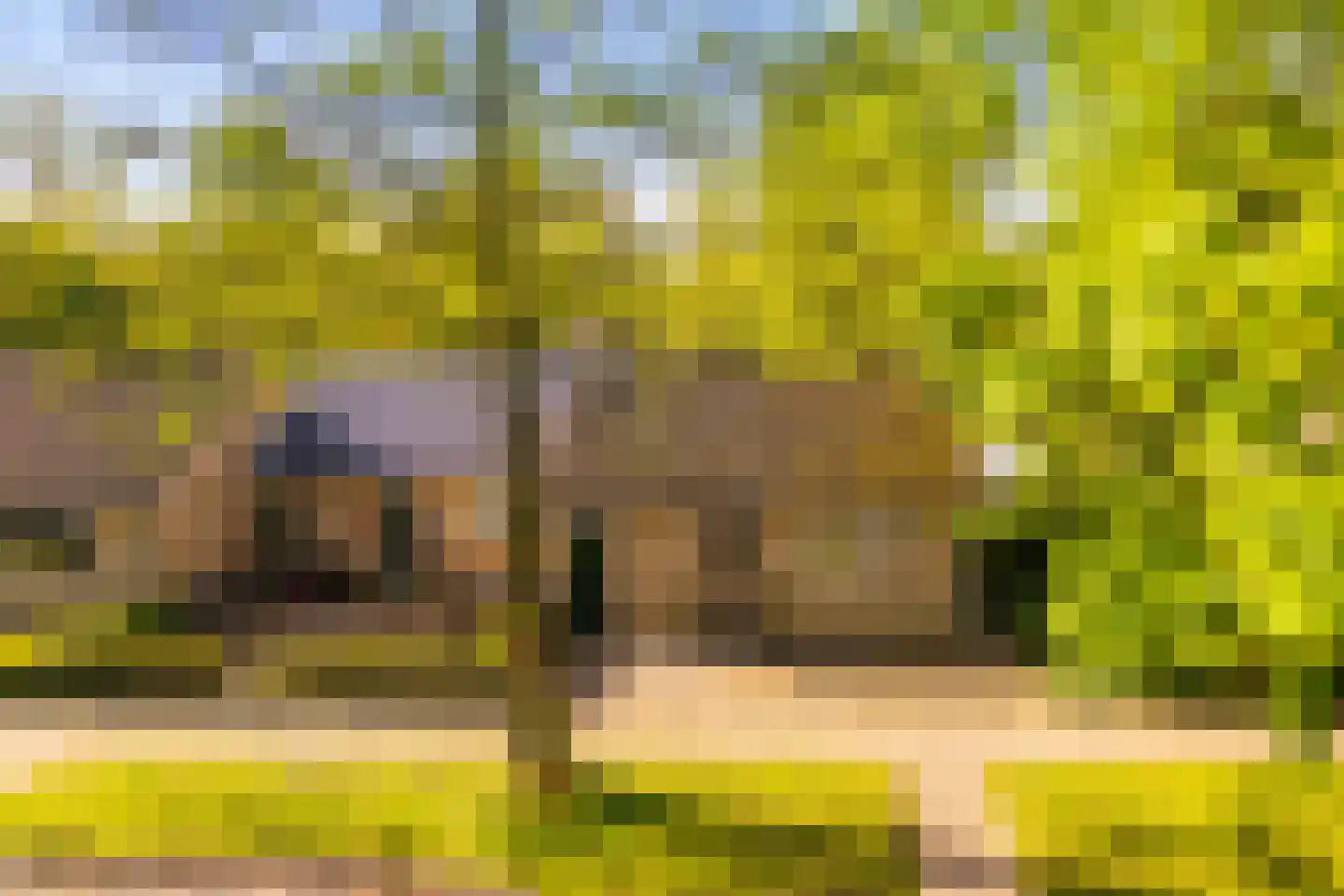Monte Cassinostraat 2 Doetinchem thumbnail 22