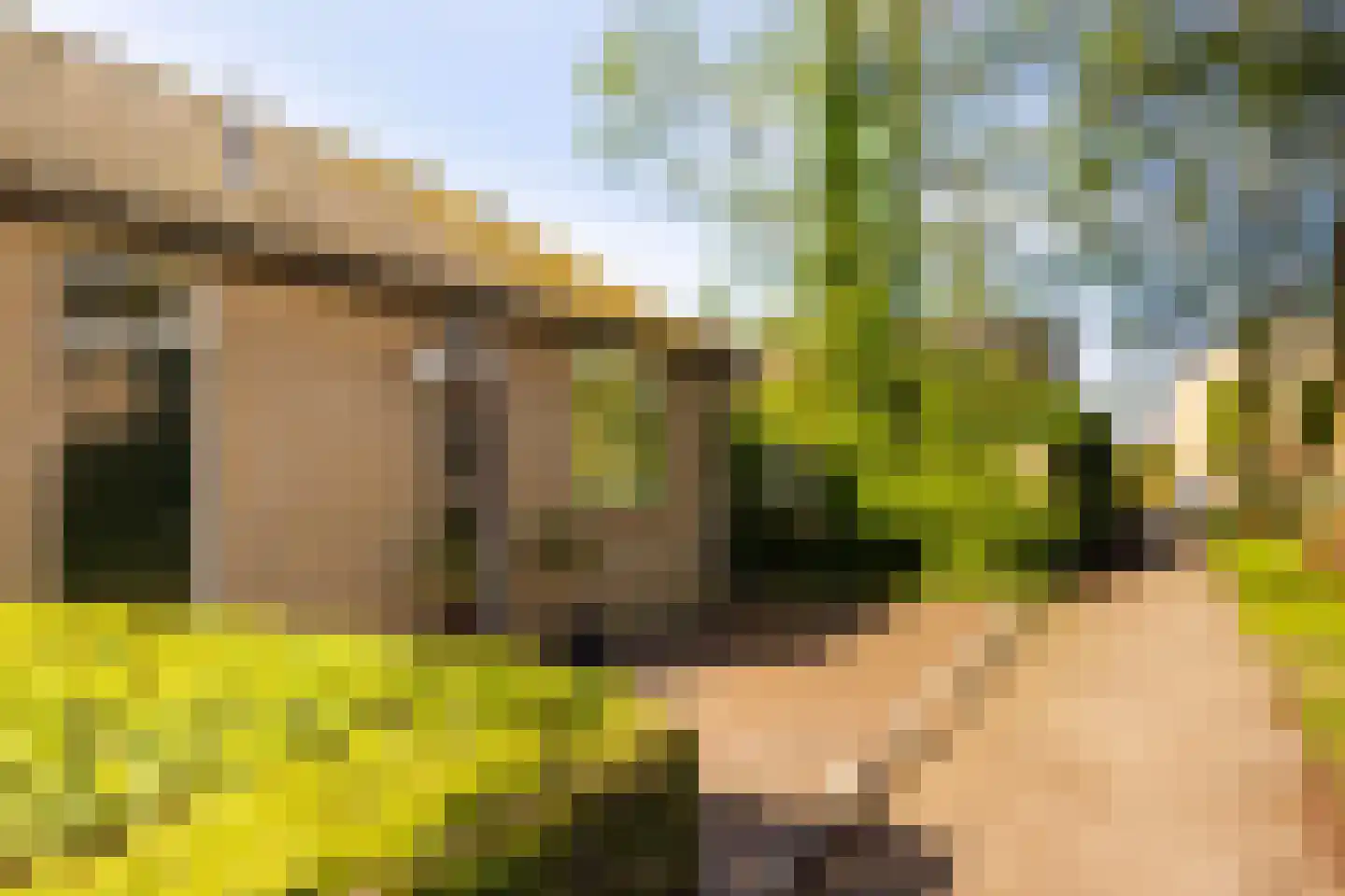 Monte Cassinostraat 2 Doetinchem thumbnail 5