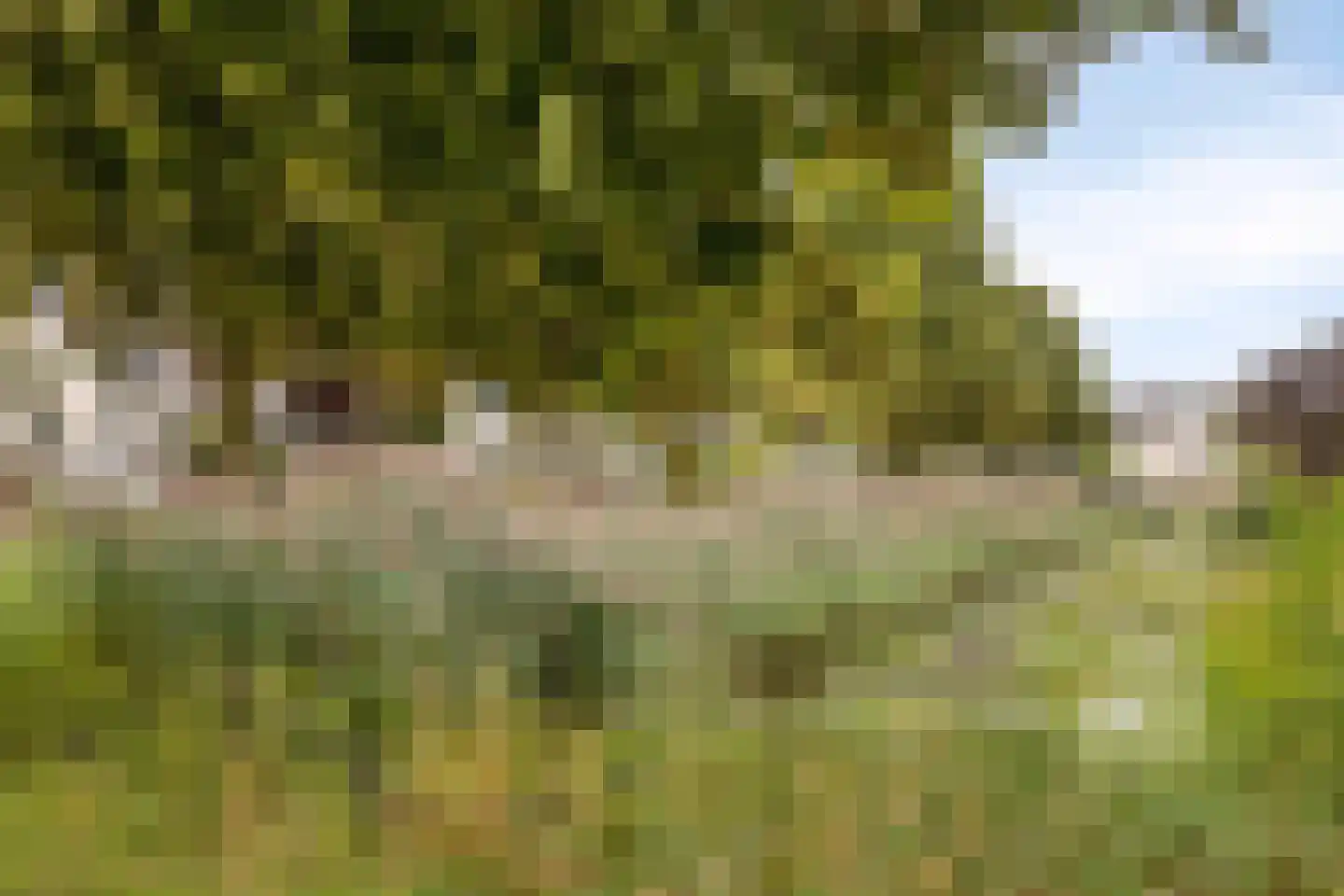 Monte Christolaan 23 Veenendaal thumbnail 40