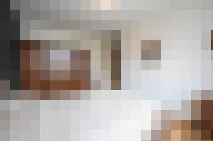 Monte Libretti 20 Oudenbosch thumbnail 33