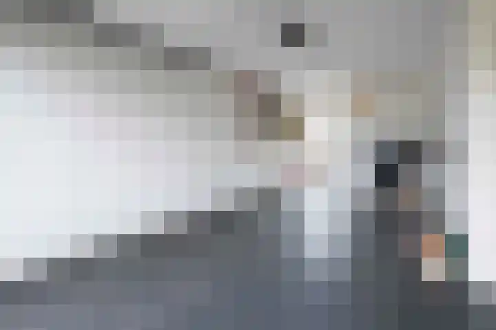 Monte Libretti 20 Oudenbosch thumbnail 38