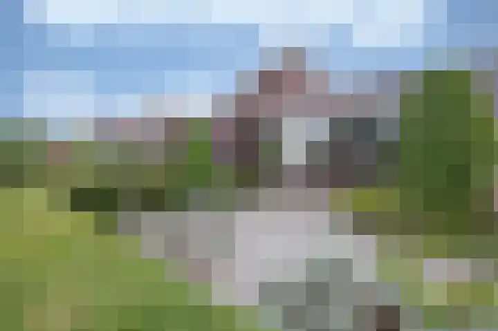 Monte Libretti 20 Oudenbosch thumbnail 4
