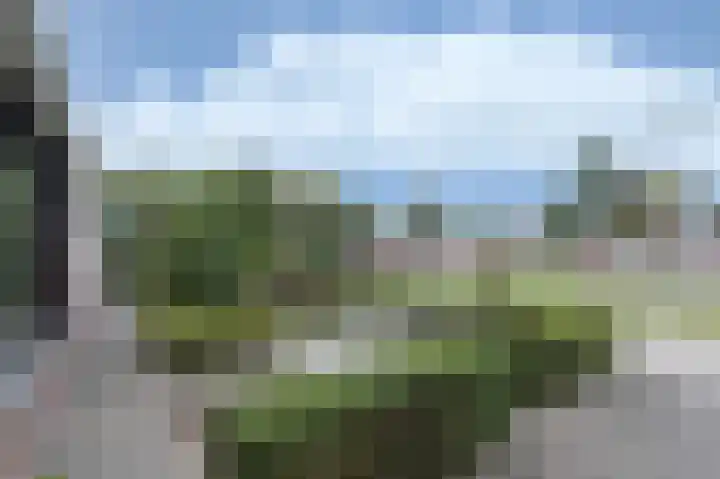 Monte Libretti 20 Oudenbosch thumbnail 5
