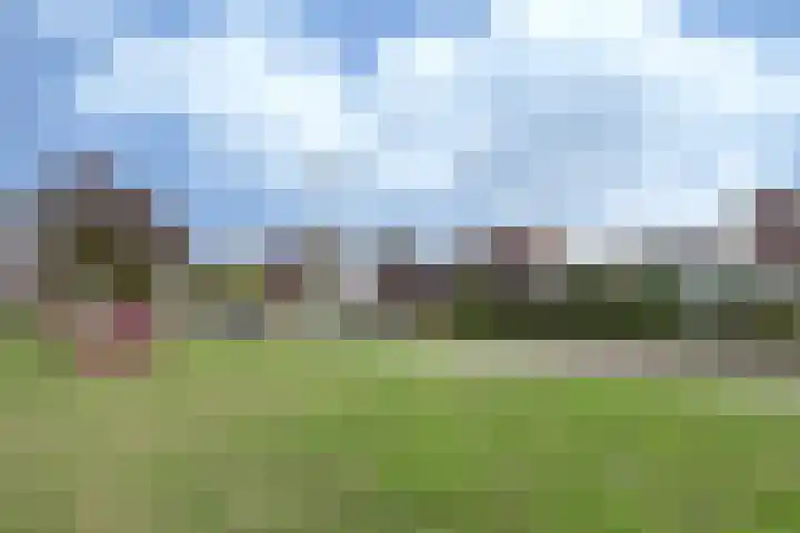 Monte Libretti 20 Oudenbosch thumbnail 6