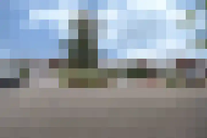Monte Libretti 20 Oudenbosch thumbnail 7