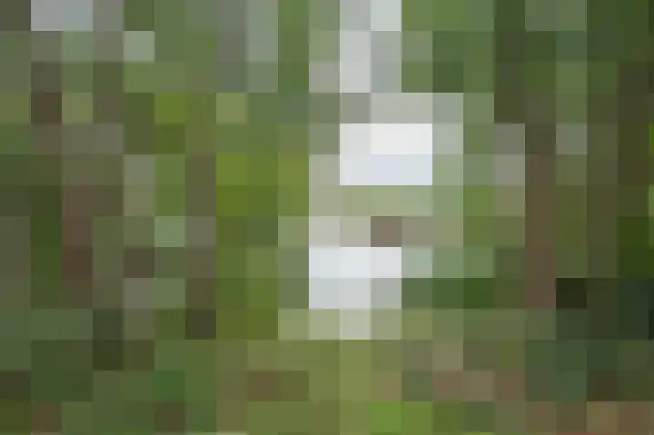 Monte Libretti 20 Oudenbosch thumbnail 8