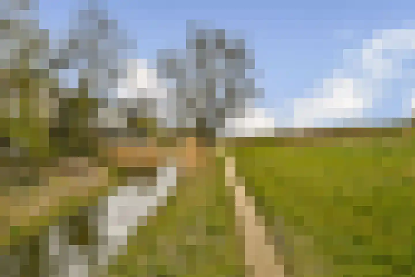 Monte Perdido 13 Amsterdam thumbnail 24