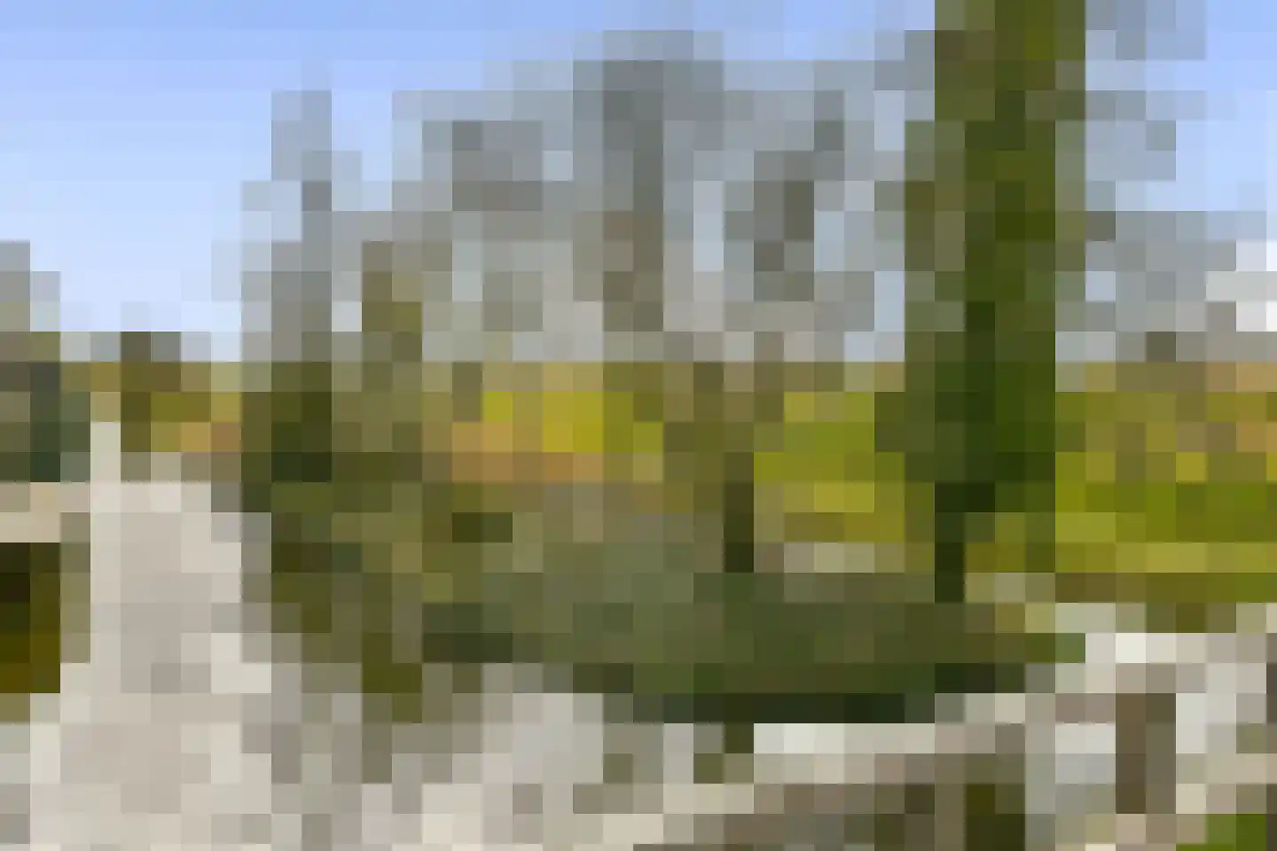 Monte Perdido 13 Amsterdam thumbnail 25