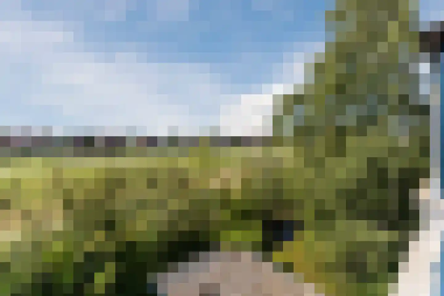 Monte Viso 11 Amsterdam thumbnail 60