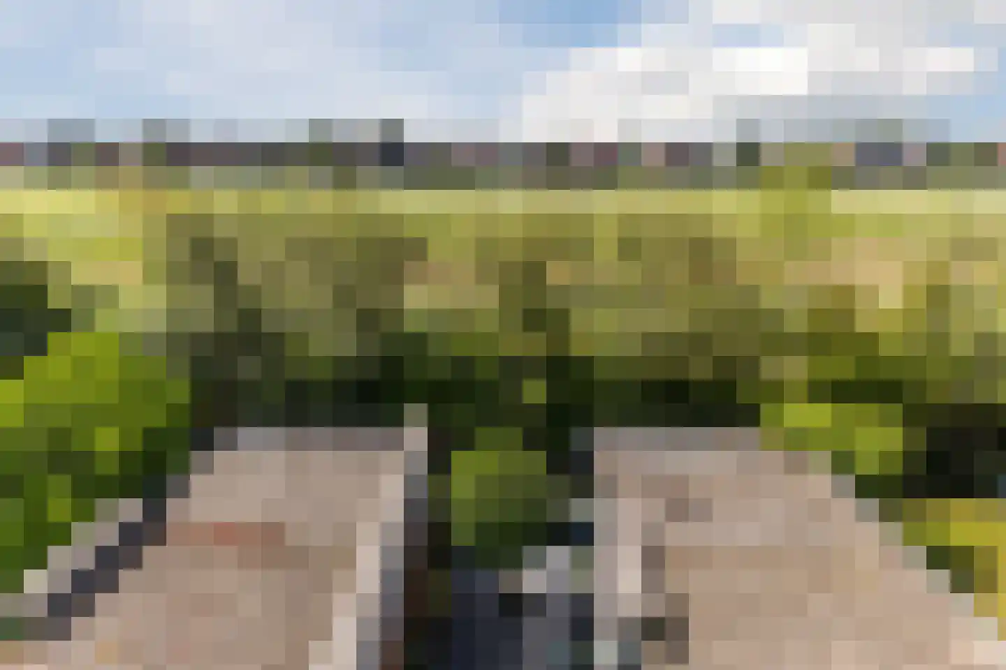 Monte Viso 11 Amsterdam thumbnail 61